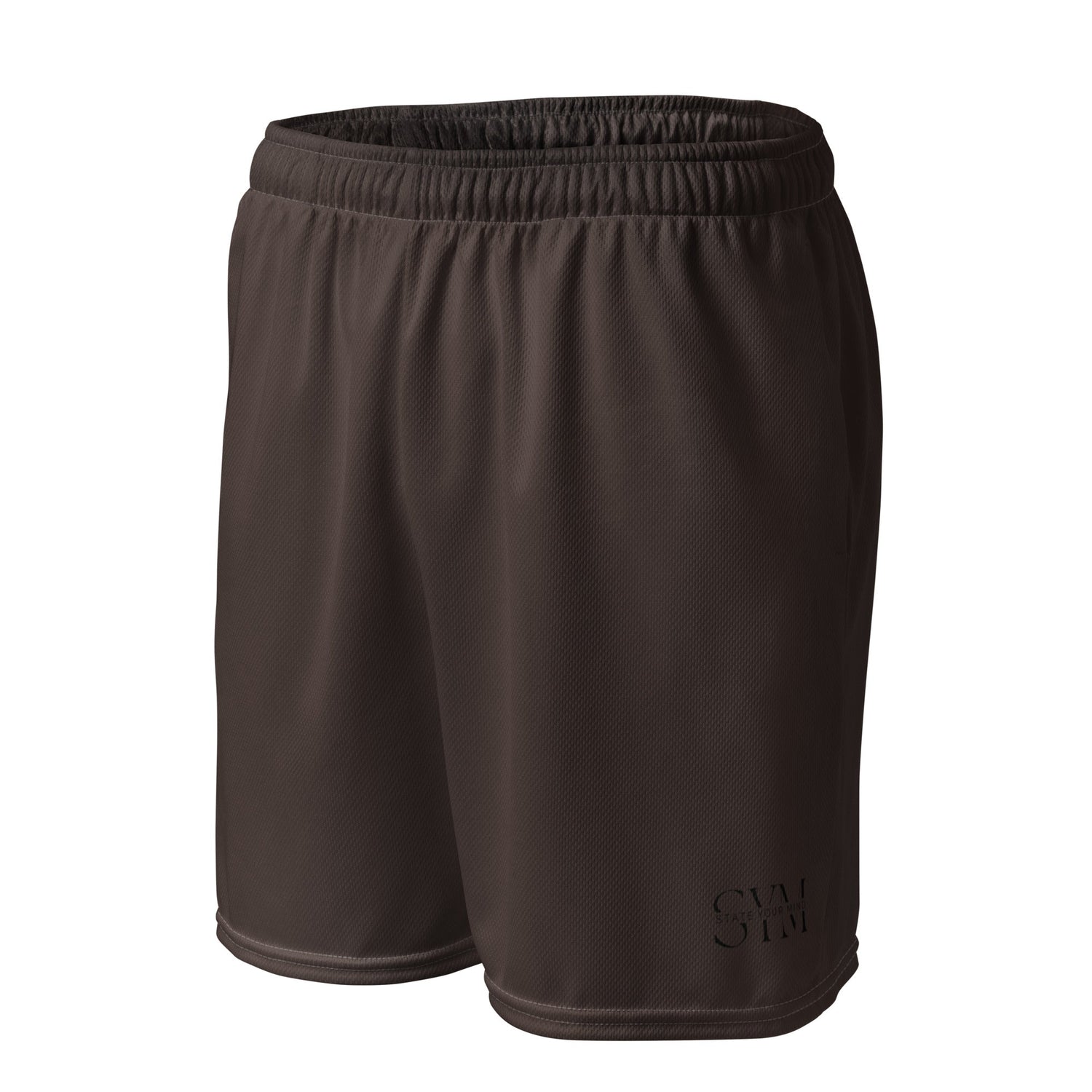 Mesh Shorts